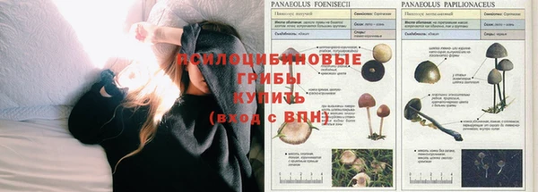 мяу мяу кристалл Россошь
