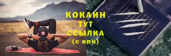 СК Алзамай