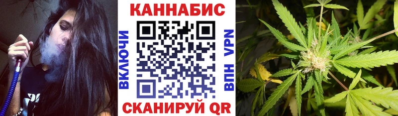 МАРИХУАНА White Widow Сосновый Бор
