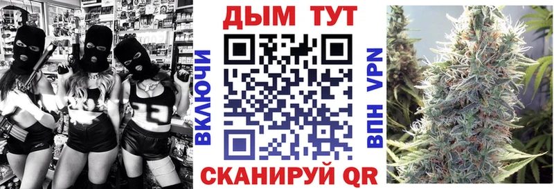 Бошки Шишки сатива  продажа наркотиков  Сосновый Бор 